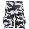 dpm-arctic-2