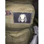 Нашивка Predator на липучке photo review
