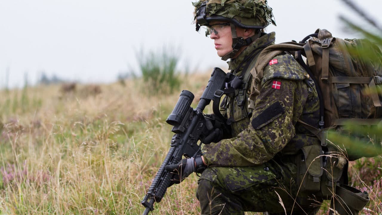 Fleck d m84 camo