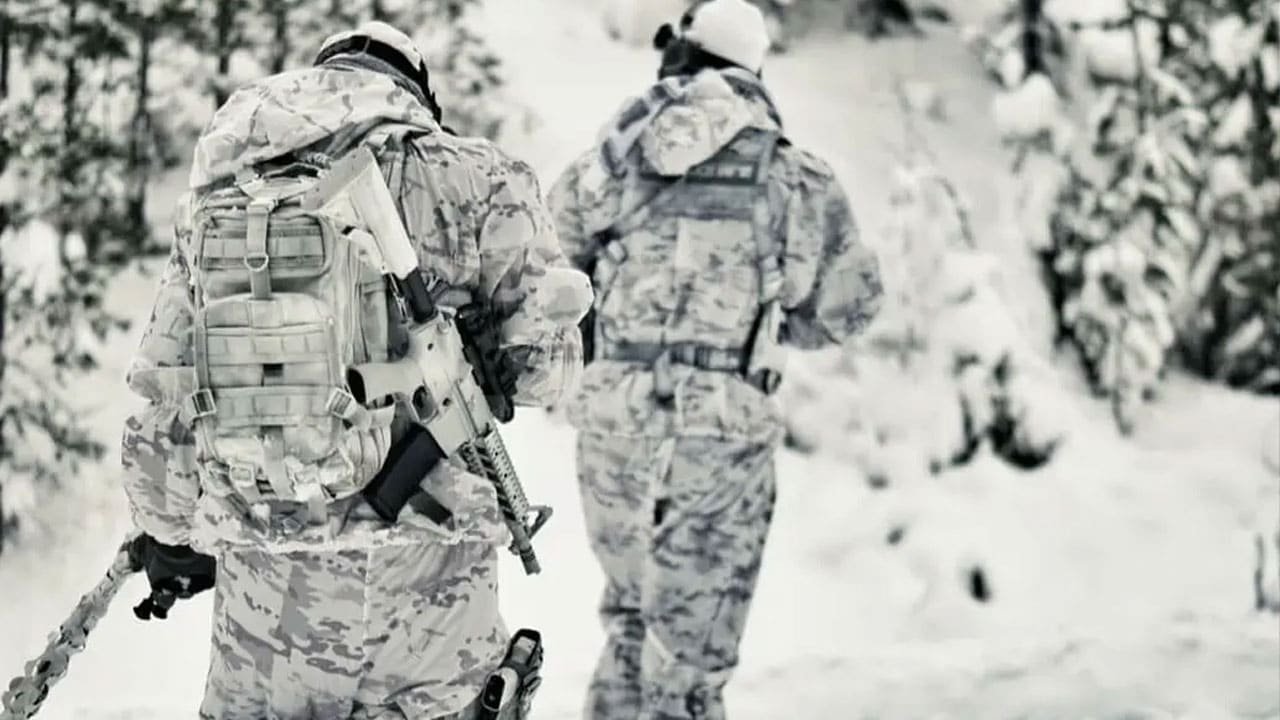 Multicam alpine camo