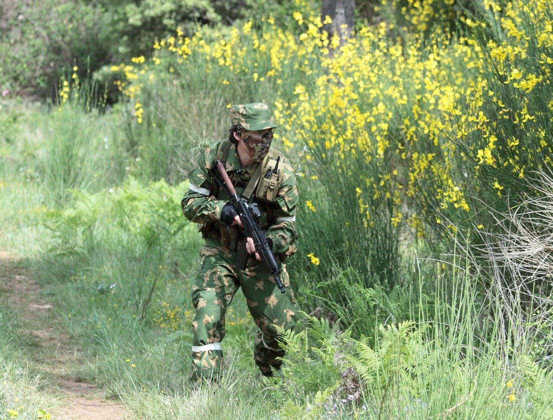 berezka camo