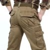 coyote-brown-2