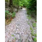 Лёгкие тренировочные ботинки из искусственной замши цвета хаки photo review