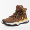 coyote-brown-2