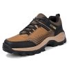 brown-2