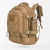 coyote-brown-2