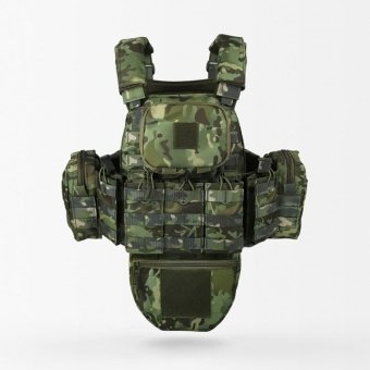 Molle Plate Carrier With Pouches