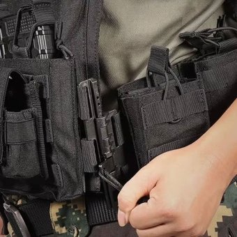 Quick release plate carrier