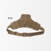 coyote-brown-2