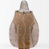 coyote-brown-2
