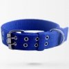 blue-2